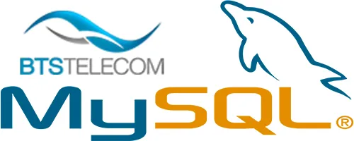 Logos BTS Telecom, Dolphin și MySQL reprezentând servicii de telecomunicații și baze de date